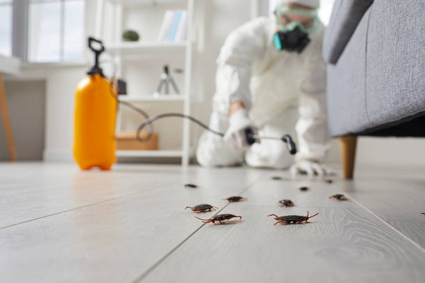 Commercial Kitchen Cockroach Control in Byng